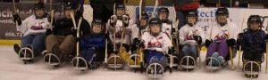 Sled Hockey Eagle Mount